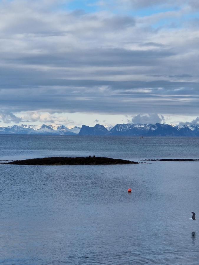 Roligheten Lodge In Andenes Bagian luar foto