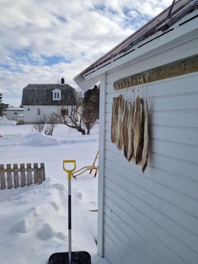 Roligheten Lodge In Andenes Bagian luar foto